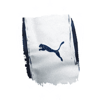Monterrey Sticker by PUMA