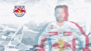 Ice Hockey GIF by EC Red Bull Salzburg