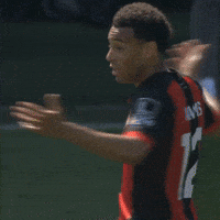 Premier League Shrug GIF by AFC Bournemouth