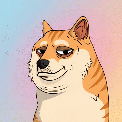 Judging Shiba Inu GIF by Doge Pound