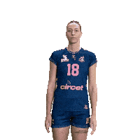 Volleyball Ace Sticker by Neptunes_VolleyBall