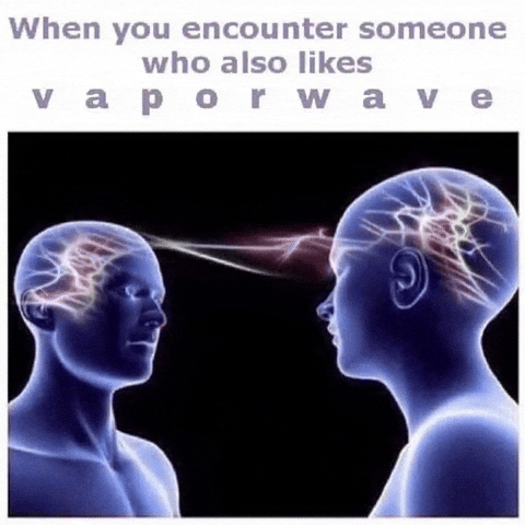 Vapor Dank Memes GIF by Database數據