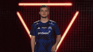 Proud Hamburger Sv GIF by Bundesliga