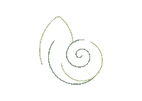 Sorority Nautilus Sticker by Kappa Delta