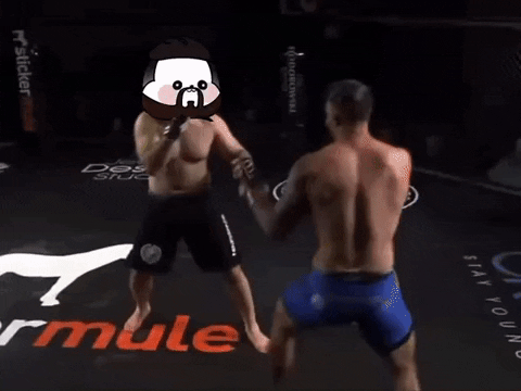 Fight Win GIF by Kanpai Pandas