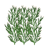 Grass Sticker