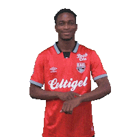 Ligue 2 Football Sticker by EA Guingamp