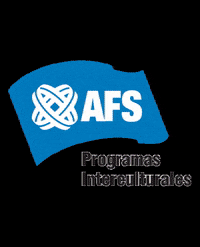 AFSArgentina afscyberdays GIF