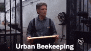 bee beekeeping GIF by GreenMap