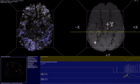 ariley0330 giphyupload GIF