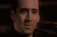 GIF by Giphy QA