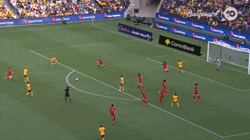 Celebration Goal GIF by Football Australia