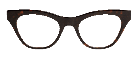 Try On Dan Levy Sticker by DL Eyewear