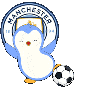 Manchester City Football Sticker by Pudgy Penguins