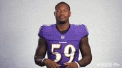 Football Thumbs Up GIF by Baltimore Ravens