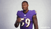 Football Celebrate GIF by Baltimore Ravens