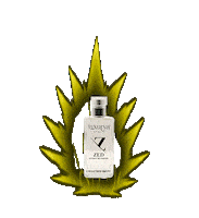 Fun Beauty Sticker by Luxurya Parfum