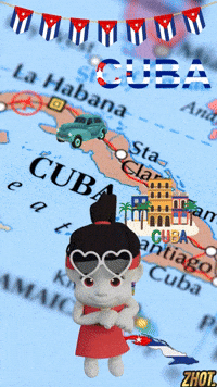 Gracias Cuba GIF by Zhotcita