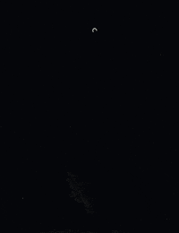 Skeleton Lines GIF by Trevor Anderson