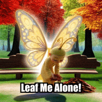 Autumn Leaves GIF by BuddhaFlyJourney