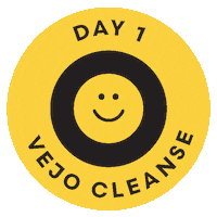 Cleansing Mission Accomplished Sticker by Vejo