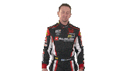 honda celebration Sticker by FIA WTCR