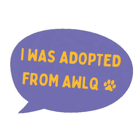 awlqld adopt dont shop awl adopted dog adopted cat Sticker