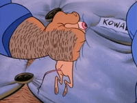 ren and stimpy nicksplat GIF