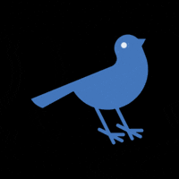 Blue Bird Ski GIF by Stevens Pass