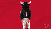 Nfl Laughing GIF by Houston Texans