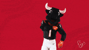 Nfl Mascot GIF by Houston Texans