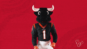 Nfl Point GIF by Houston Texans