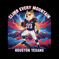 Houston Texans Art GIF by Doge Pound