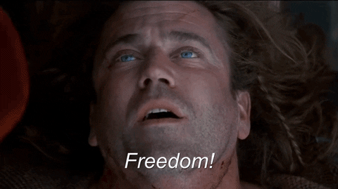 ceyhunzsoylu giphyupload freedom braveheart GIF