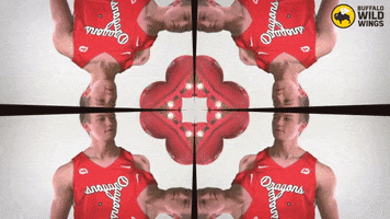 Msummbb GIF by MSUM Dragons
