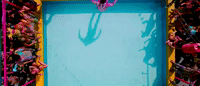 holi festival GIF