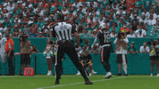 Football Celebration GIF by New England Patriots