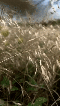 francotherealestateguy lovexit francoexit GIF