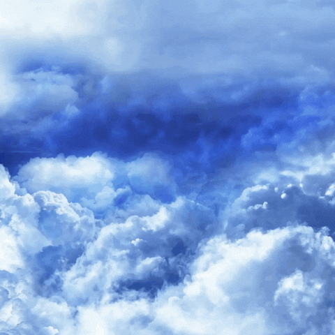 Thermostar logo logo animation stern monkeymedia GIF