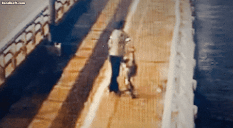 qwerpoiu22ppop giphyupload GIF