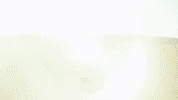 viceland GIF by Kentucky Ayahuasca