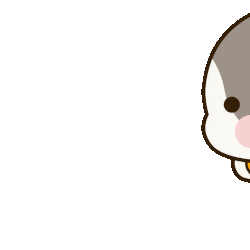 Katercat giphyupload cat run kat Sticker