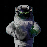 Full Moon Space GIF by BeeCat Creative