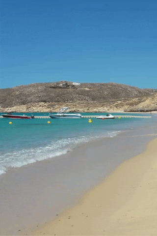 BaeBees giphyupload vacation holidays greece GIF