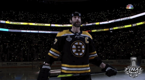 2019 stanley cup finals GIF by NHL