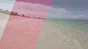 IslandGuideTV caribbean aruba island guide tv island guide GIF