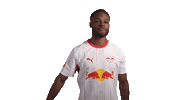 Look At Him Red Bull Sticker by RB Leipzig