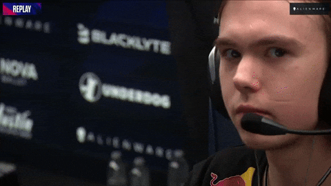 Team Spirit Donk GIF by BLAST