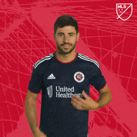 New England Football GIF by Major League Soccer