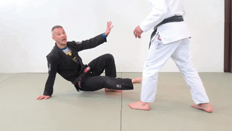 ritchieyip giphygifmaker bjj technical stand up GIF